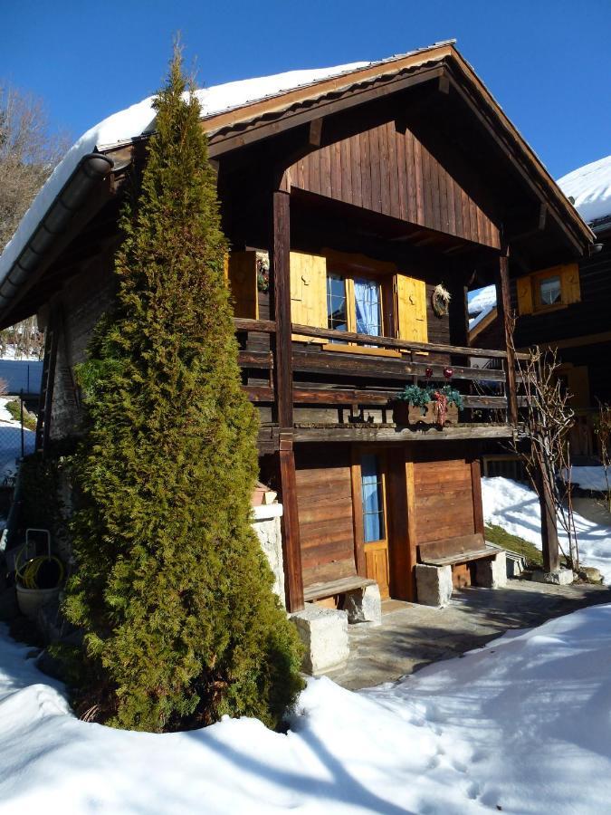 "Chalet Les Aravis" Chalet Et Appartements Le Grand-Bornand Exterior photo